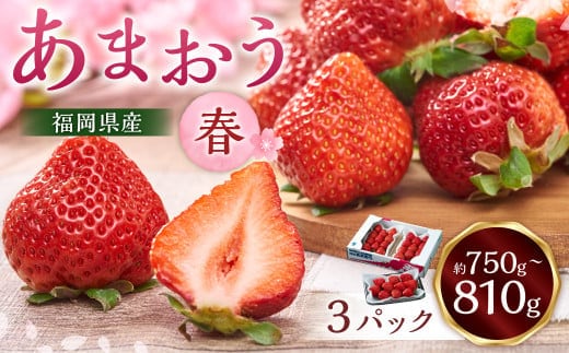 福岡産【春】あまおう3パック いちご 苺 イチゴ 果物 くだもの フルーツ 冷蔵 【2026年2月上旬~3月下旬発送予定】
