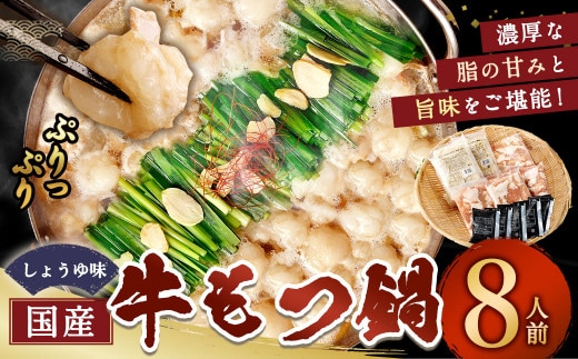 国産もつ鍋 8人前 冷凍ちゃんぽん・濃縮スープ付(醤油味) もつ ホルモン 鍋 お鍋 セット 冷凍 岡垣町