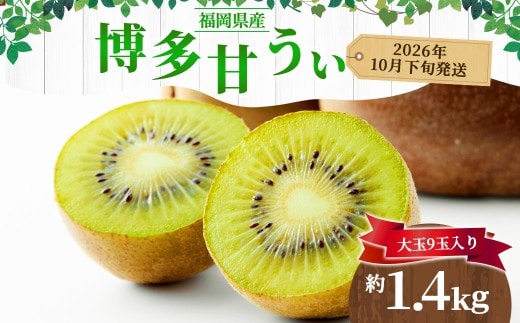 福岡県産 博多甘うぃ 約1.4kg(大玉9玉入り)キウイフルーツ キウイ 【2026年10月下旬~11月下旬発送予定】