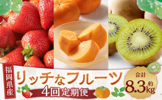 【4回定期便】福岡のリッチなフルーツ定期便 くだもの いちご キウイ 柿 【2026年10月下旬~2027年1月下旬発送予定