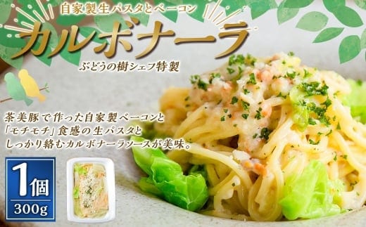 【カルボナーラ】 ぶどうの樹 シェフ特製 選べるパスタ・グラタン1個 パスタ 生パスタ スパゲッティ 麺 冷凍 福岡県 岡垣町