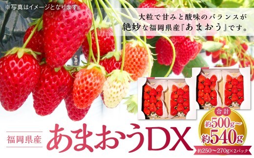 あまおうDX 約250~270g×2パック 苺 イチゴ あまおうデラックス あまおう 果物 くだもの フルーツ 【2027年2月上旬~4月下旬発送予定】