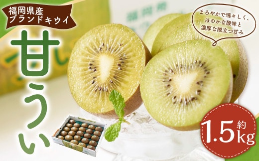 福岡県産ブランドキウイ・甘うぃ 約1.5kg (12-15玉) キウイ キウイフルーツ 果物 くだもの フルーツ 常温 国産 岡垣町 【2026年10月下旬~12月上旬発送予定】