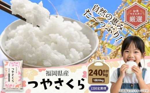【12ヶ月定期便】福岡県産つやさくら 20kg 岡垣町 ふるさと納税返礼品 お米 こめ 精米 ご飯 ごはん 国産 定期便