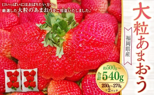 大粒あまおう 2パック あまおう いちご イチゴ 苺 果物 くだもの フルーツ【2026年2月上旬~4月上旬発送予定】