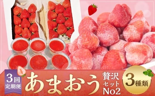 【予約受付・3回定期便】あまおう贅沢セット No2 苺 イチゴ ストロベリー ベリー あまおうDX 冷凍あまおう プレミアムあまおうレアチーズケーキ フルーツ くだもの 果物 デザート スイーツ【2026年3月上旬~7月下旬発送予定】