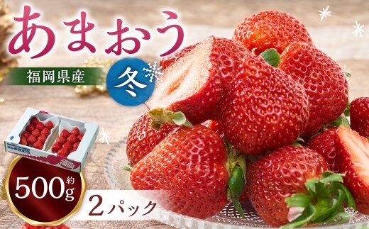 福岡産【冬】あまおう2パック いちご 苺 イチゴ 果物 くだもの フルーツ 冷蔵【2026年12月上旬~2027年1月下旬発送予定】