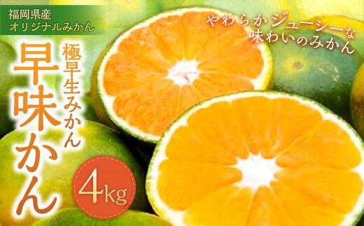 福岡県産 極早生みかん・早味かん 約4kg 早生 ミカン 果物 くだもの フルーツ 柑橘 かんきつ 【2026年9月上旬~9月下旬発送予定】