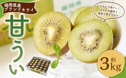 福岡県産ブランドキウイ・甘うぃ 約3kg (24-33玉) キウイ キウイフルーツ 果物 くだもの フルーツ 常温 国産 岡垣町 【2026年10月下旬~12月上旬発送予定】