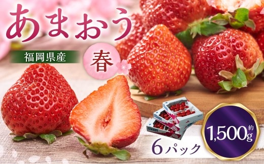 福岡産【春】あまおう6パック いちご 苺 イチゴ 果物 くだもの フルーツ 冷蔵 【2027年2月上旬~3月下旬発送予定】