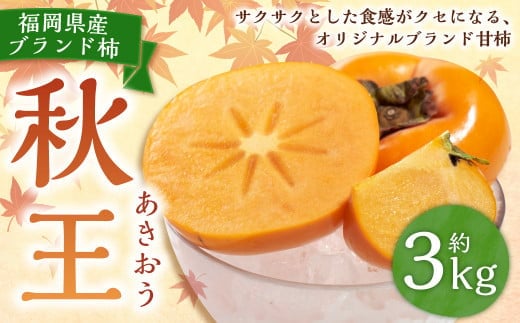 福岡県産ブランド柿・秋王 約3kg (8-12玉) 柿 カキ かき 果物 くだもの フルーツ 冷蔵 国産 岡垣町 【2025年10月下旬~11月下旬発送予定】