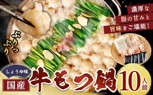 国産牛もつ鍋10人前 ちゃんぽん 濃縮スープ付(醤油味) もつ ホルモン 鍋 お鍋 セット 冷凍 岡垣町