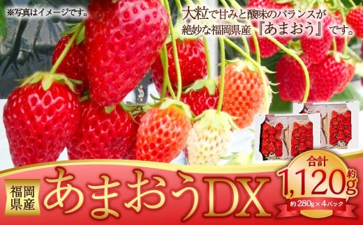あまおうDX 約280g×4パック 合計約1120g デラックス いちご 苺 果物 くだもの フルーツ 【2026年2月上旬~4月上旬発送予定】