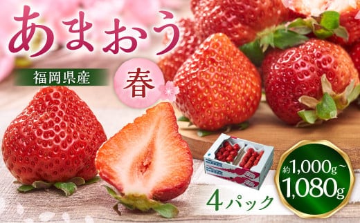 福岡産【春】あまおう4パック いちご 苺 イチゴ 果物 くだもの フルーツ 冷蔵 【2026年2月上旬~3月下旬発送予定】