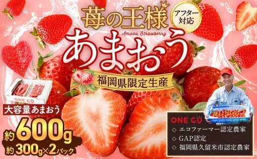 【寄附額改定↓】【予約受付】選べる大容量あまおう 600g 大粒 不揃い 選べる大容量あまおう (2L,グランデ,DX デラックス)減農薬 あまおう いちご 高級 いちごあまおう イチゴ 苺 フルーツ 果物 ふるさと納税くだもの amaou 福岡県 【2026年3月上旬~下旬発送予定】