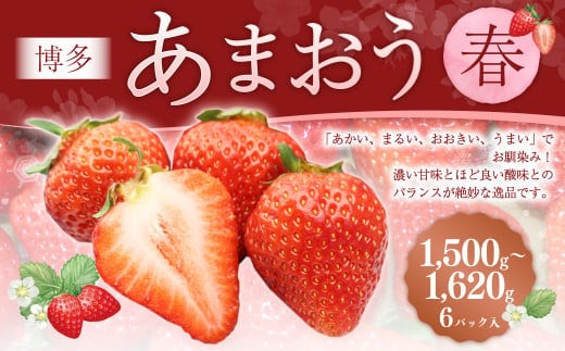 博多あまおう6パック(春) 250g~270g×6パック 合計約1500g~1620g あまおう いちご 苺 イチゴ フルーツ 果物 くだもの【2026年2月上旬-4月下旬発送予定】