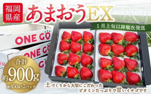 ギフト配送 福岡県産あまおう EX 約450g×2パック 〈特別栽培〉いちご イチゴ 苺 くだもの 果物 フルーツ 冷蔵 福岡県 【2026年1月上旬~3月下旬発送予定】
