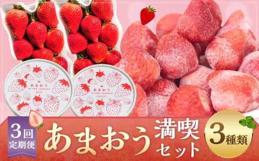 【予約受付・3回定期便】あまおう満喫セット あまおう いちご イチゴ 苺 果物 くだもの フルーツ シャーベット アイス【2026年3月上旬~8月発送予定】