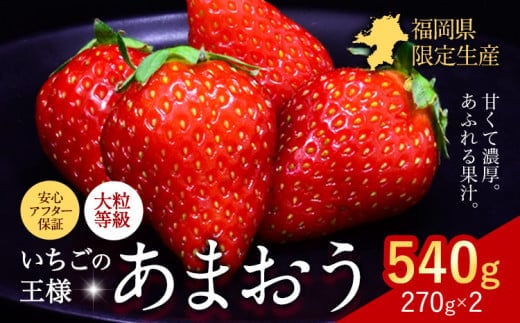 ★2026年出荷分★【先行予約】あまおう いちご 540g 苺 送料無料 【着日指定不可】《2月中旬-4月末頃出荷出荷予定》 イチゴ 果物 フルーツ 福岡県 鞍手郡 小竹町---fn_ckrama_2c4m_25_6500_540g---