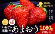 ★2026年出荷分★【先行予約】いちご あまおう 1080g 苺 送料無料 【着日指定不可】《2月中旬-4月末頃出荷予定》 イチゴ 果物 フルーツ 福岡県 鞍手郡 小竹町---fn_ctama_2c4m_25_10000_1080g---