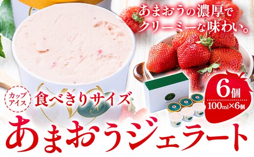 あまおうジェラート 100ml×6個 南国フルーツ株式会社《4月上旬-4月末頃出荷》福岡県 小竹町 あまおう いちご ジェラート 果物 送料無料---sc_fnngkzt_ac4_26_16500_6i---