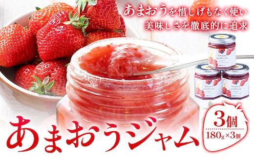 あまおうジャム 180g×3個 南国フルーツ株式会社《4月上旬-4月末頃出荷》福岡県 小竹町 あまおう いちご ジャム 果物 送料無料---sc_nngkzm_ac4_26_12000_3i---