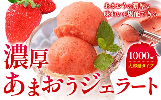 濃厚あまおうジェラート 1000ml 南国フルーツ株式会社《4月上旬-4月末頃出荷》福岡県 小竹町 あまおう いちご ジェラート 果物 送料無料---sc_fnngknk_ac4_26_13500_1kg---
