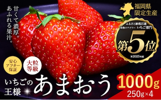 ★2027年出荷分★いちご あまおう 1000g 苺 送料無料 先行予約 【着日指定不可】《2027年2月中旬-3月中旬頃出荷》イチゴ 果物 フルーツ 福岡県 鞍手郡 小竹町【配送不可地域：離島】---ktk_ktk_85_1000g---