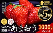 ★2027年出荷分★いちご あまおう 1000g 苺 送料無料 先行予約 【着日指定不可】《2027年2月中旬-3月中旬頃出荷》イチゴ 果物 フルーツ 福岡県 鞍手郡 小竹町【配送不可地域：離島】---ktk_ktk_85_1000g---