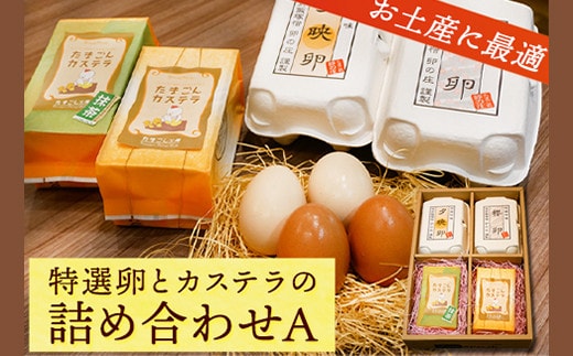 特選卵とカステラの詰め合わせA 《30日以内に出荷予定(土日祝除く)》福岡県 鞍手郡 小竹町 卵 カステラ かすてら 詰め合わせ 送料無料 有限会社畠中育雛場---isc_chnistumea_30d_22_13000_4p---