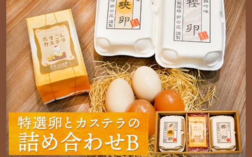 特選卵とカステラの詰め合わせB《30日以内に出荷予定(土日祝除く)》福岡県 鞍手郡 小竹町 卵 カステラ かすてら 詰め合わせ 送料無料 有限会社畠中育雛場---isc_chnistumeb_30d_22_10500_3p---