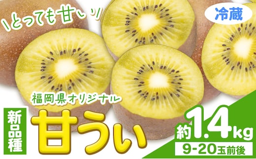 ☆2026年出荷☆ 甘うぃ 約1.4kg 9-20玉前後《10月中旬-11月末頃出荷》福岡県 鞍手郡 小竹町 キウイフルーツ キウイ 福岡県オリジナル 新品種 甘うぃ 果物 くだもの フルーツ【配送不可地域あり】---isc_clfkaw_bc10_26_13000_1400g---