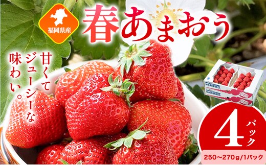 福岡県産 春あまおう 4パック 南国フルーツ株式会社《2月上旬-3月末頃出荷》福岡県 小竹町 あまおう いちご イチゴ 送料無料【配送不可地域あり】---sc_cnngkam_af2_r7_13500_1kg---