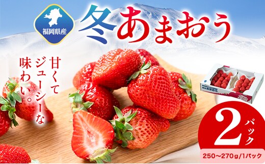 福岡県産 冬あまおう 2パック 南国フルーツ株式会社《12月上旬-1月末頃出荷》福岡県 小竹町 あまおう いちご イチゴ 送料無料【配送不可地域あり】---sc_cnngkam_af12_r7_13000_500g---