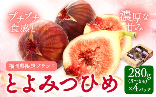 いちじく 無花果 とよみつひめ 280g×4パック《8月中旬-10月中旬頃出荷》福岡県 小竹町 福岡県産 いちじく フルーツ 果物---sktk_ctymt_26_q810_9500_1120g---