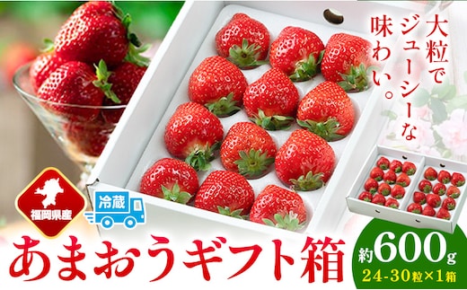 福岡県産 あまおう ギフト箱 約600g 南国フルーツ株式会社《12月上旬-3月末頃出荷》福岡県 小竹町 あまおう いちご イチゴ 送料無料【配送不可地域あり】---sc_cnngkam_af123_r7_17500_30i---