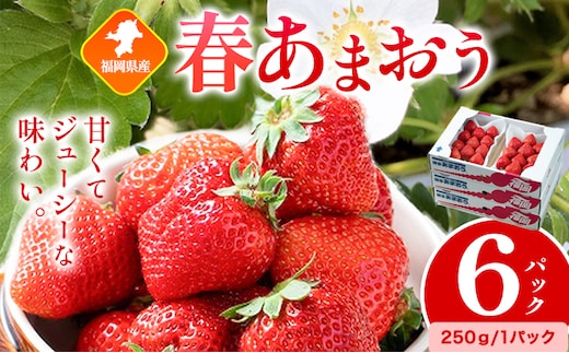 福岡県産 春あまおう 6パック 南国フルーツ株式会社《2月上旬-3月末頃出荷》福岡県 小竹町 あまおう いちご イチゴ 送料無料【配送不可地域あり】---sc_cnngkam_af2_26_17500_1500g---