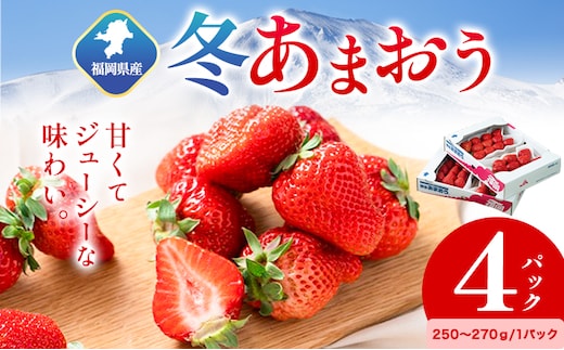 福岡県産 冬あまおう 4パック 南国フルーツ株式会社《12月上旬-1月末頃出荷》福岡県 小竹町 あまおう いちご イチゴ 送料無料【配送不可地域あり】---sc_cnngkam_af12_r7_21500_1kg---