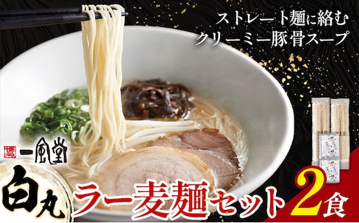 ラーメン 一風堂 白丸 ラー麦麺 2食 地域商社ふるさぽ《90日以内に出荷予定(土日祝除く)》福岡県 鞍手郡 小竹町 ラーメン とんこつ 豚骨スープ 豚骨ラーメン ラー麦 麺---sc_fsipdr_90d_26_6500_2s---