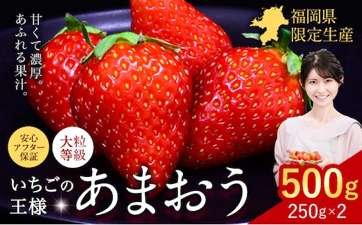 ★2027年出荷分★いちご あまおう 500g 苺 送料無料 先行予約 【着日指定不可】《2027年2月中旬-3月中旬頃出荷》イチゴ 果物 フルーツ 福岡県 鞍手郡 小竹町【配送不可地域：離島】---ktk_ktk_84_500g---