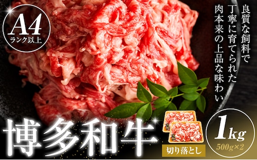博多和牛 切り落とし 1kg 株式会社木村食品《30日以内に出荷予定(土日祝除く)》小竹町 博多和牛 牛肉 牛丼 肉じゃが 肩バラ 赤身---sc_fkmrkro_30d_r7_16000_1kg---