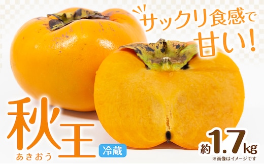 ☆2026年出荷☆ 秋王 約1.7kg《11月上旬-11月末頃出荷》福岡県 鞍手郡 小竹町 柿 かき カキ 種なし 種無し 福岡県産 果物 くだもの フルーツ 【配送不可地域あり】---isc_clfkao_ac11_26_13000_1700g---