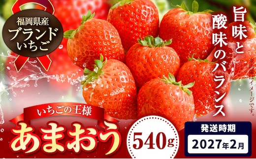 いちご あまおう 先行予約 いちご 大量 540g 選べる発送時期 定期便 フルーツ《2027年2月上旬-2月末頃出荷》苺 旬 くだもの 果物 福岡県 小竹町---ktk_lfk_5_540g2---