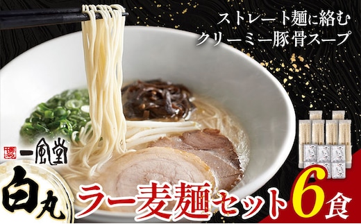 ラーメン 一風堂 白丸 ラー麦麺 6食 地域商社ふるさぽ《90日以内に出荷予定(土日祝除く)》福岡県 鞍手郡 小竹町 ラーメン とんこつ 豚骨スープ 豚骨ラーメン ラー麦 麺---sc_fsipdr_90d_26_10500_6s---
