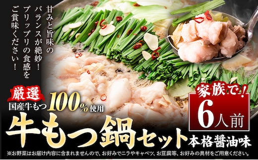 もつ鍋 もつ鍋セット 6人前（2人前×3セット） 本格醤油味 ちゃんぽん付き 国産牛小腸100％使用 送料無料《30日以内に出荷予定(土日祝除く)》 牛もつ 唐辛子 ニンニク セット 博多 国産 ヤマタカ醤油 牛 冷凍食品 冷凍 鍋 鍋セット---ktk_ftmtnbk_30d_25_9000_6i---