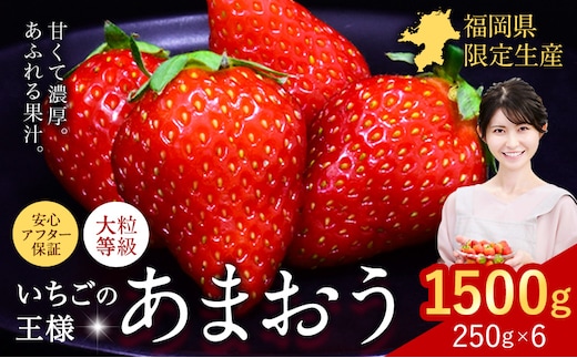 ★2027年出荷分★いちご あまおう 1500g (約250g×6パック) 苺 送料無料 先行予約 【着日指定不可】《2027年2月中旬-3月中旬頃出荷》 イチゴ 果物 フルーツ 福岡県 鞍手郡 小竹町【配送不可地域：離島】---ktk_ktk_86_1500g---