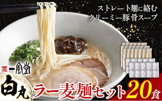 ラーメン 一風堂 白丸 ラー麦麺 20食 地域商社ふるさぽ《90日以内に出荷予定(土日祝除く)》福岡県 鞍手郡 小竹町 ラーメン とんこつ 豚骨スープ 豚骨ラーメン ラー麦 麺---sc_fsipdr_90d_26_20000_20s---