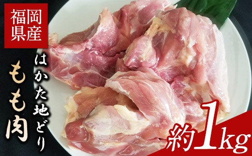 はかた地どり もも肉 約1kg 《30日以内に出荷予定(土日祝除く)》鶏肉---sc_fhktbmomo_30d_22_14000_1000g---