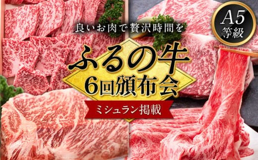 鞍手町 ふるの牛 頒布会 計5kg以上 全6回《お申込み月の翌月から出荷開始》ふるの牛 サーロインステーキ 特選焼き肉用 ロース カルビ すき焼き しゃぶしゃぶ ロース サーロインブロック 焼肉 焼肉用 定期便 頒布会---skr_fhrnpretei_r7_400000_mo6num1---