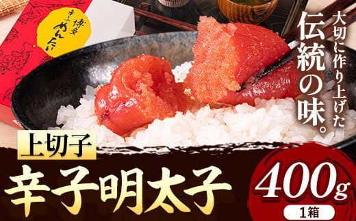 辛子明太子 上切子 400g《30日以内に出荷予定(土日祝除く)》福岡県 鞍手郡 鞍手町 博多漁師の里 明太子 めんたいこ 冷凍 送料無料---skr_fhktmntk_30d_r7_9000_400g---